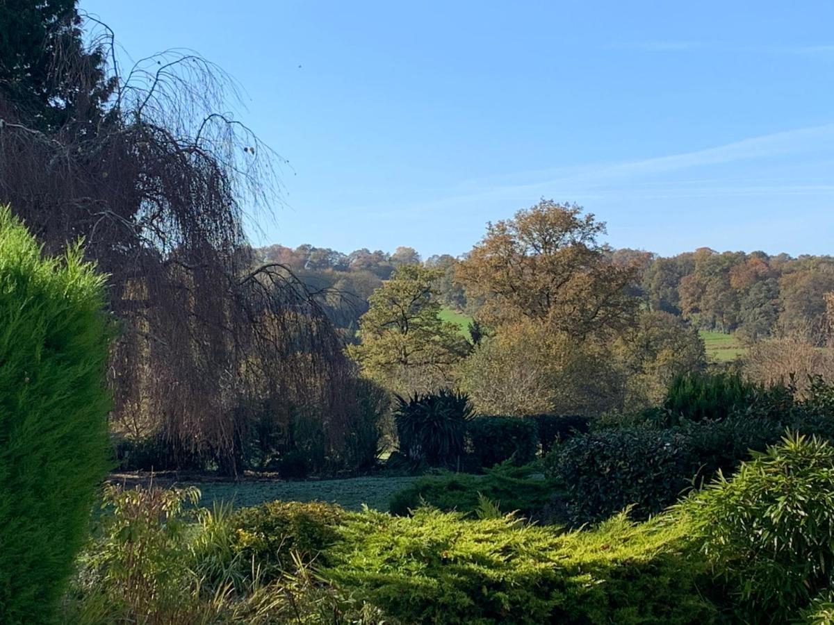Peyrat-de-BellacLes Lauriers住宿加早餐旅馆 外观 照片